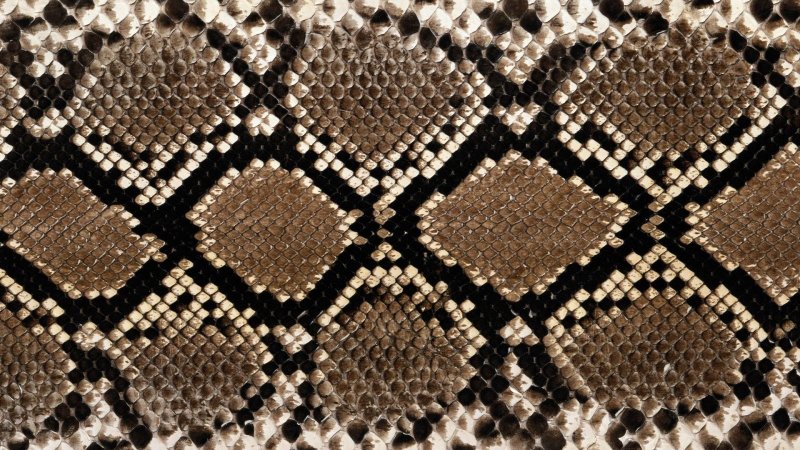 Змеиная чешуя питон