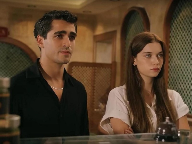 Зимородок турецкий сериал 2