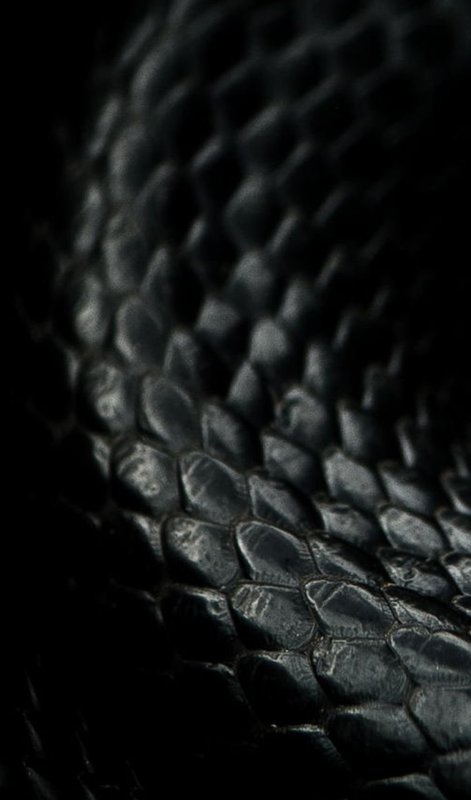 Черная чешуя