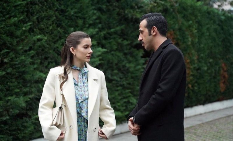 Зимородок турецкий сериал суна