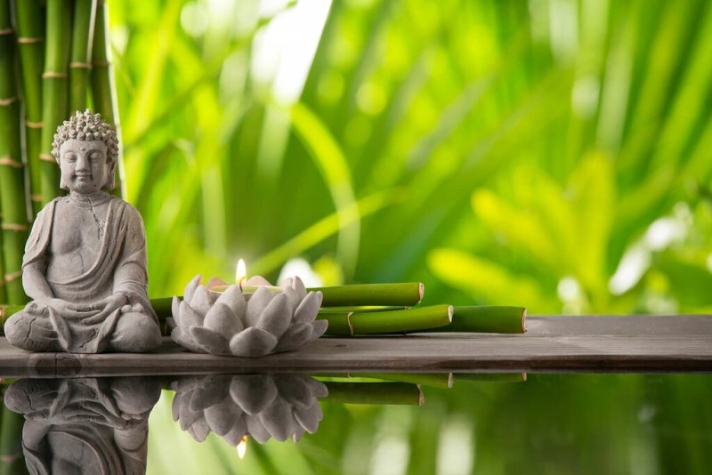 Гармония буддизм