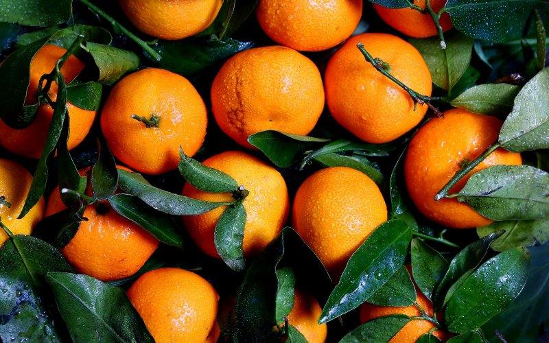 Мандарин каламондин