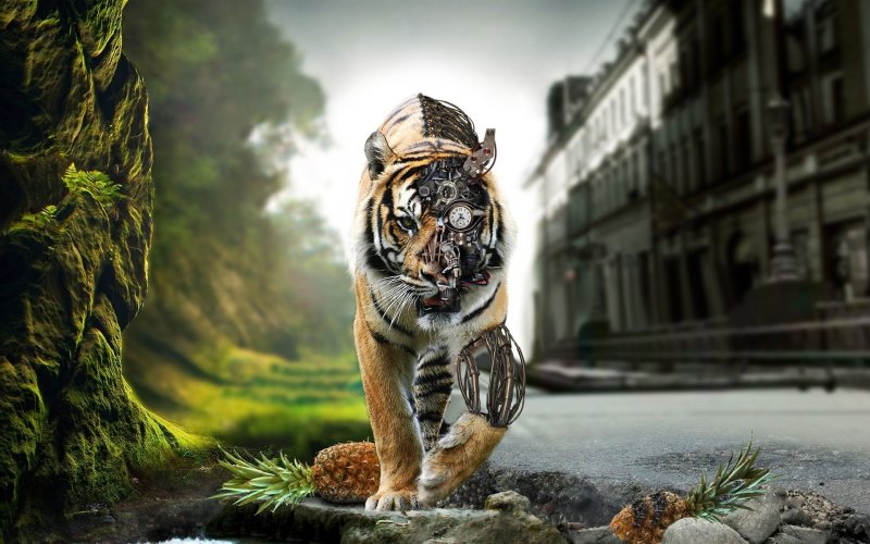 3д картинки на рабочий стол