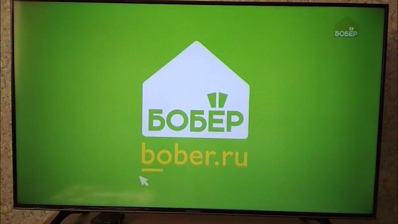 Телеканал бобер