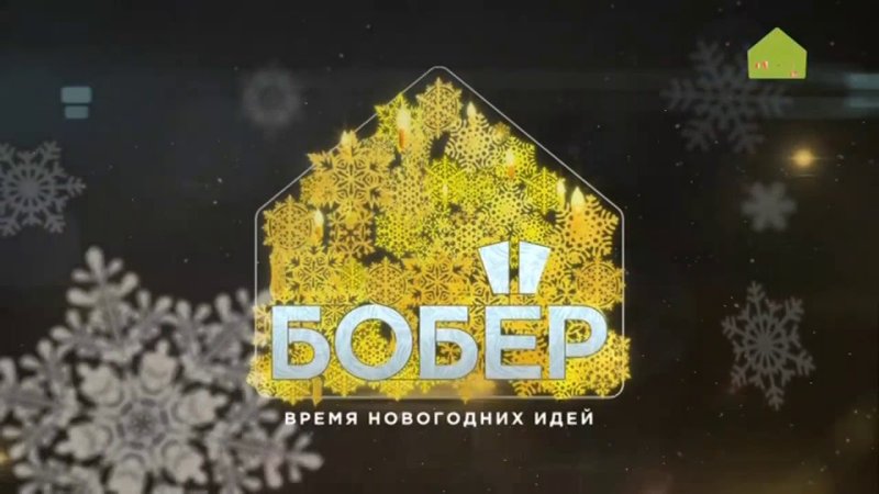 Бобёр ТВ