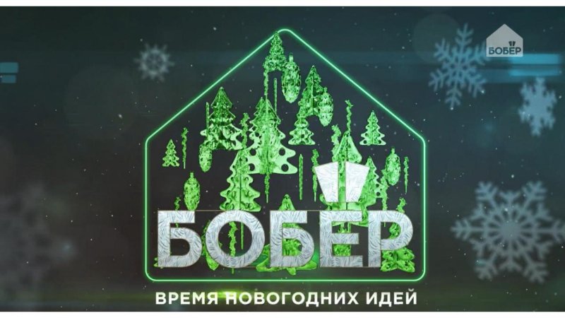 Телеканал бобер