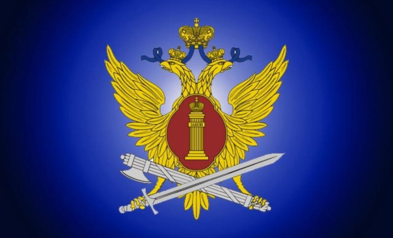 ФСИН России уголовно-исполнительная инспекция