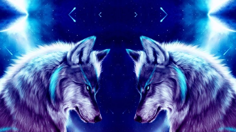 Волки на красивом фоне