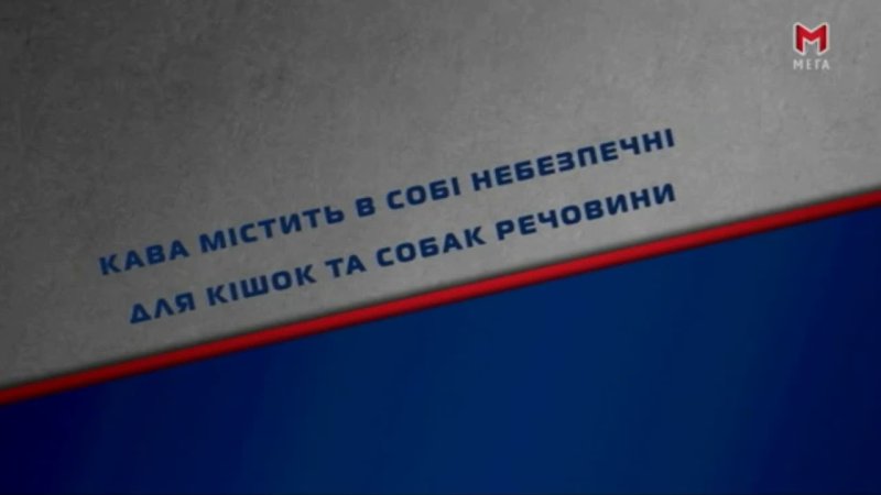 Телеканал мега