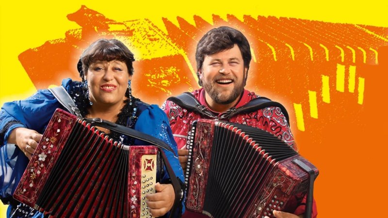 Заволокин с гармонью