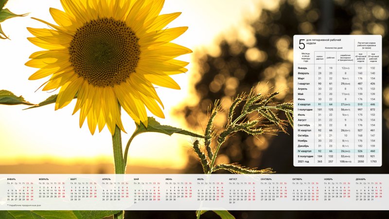 Заставка на рабочий стол календарь 2024