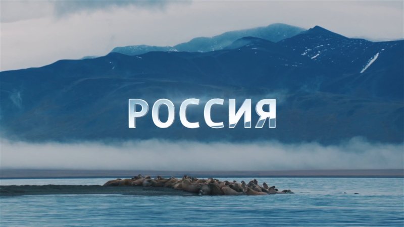 Россия 1 реклама