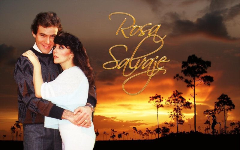 Сериал про розу бразильский