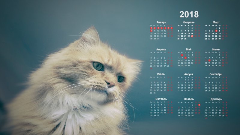 Самые красивые календари