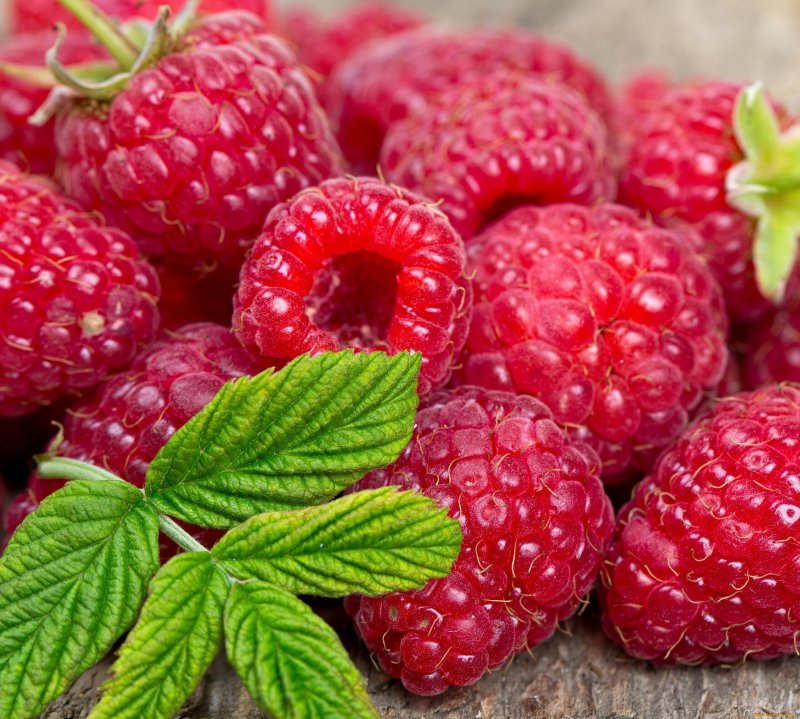 Ягоды малины малины