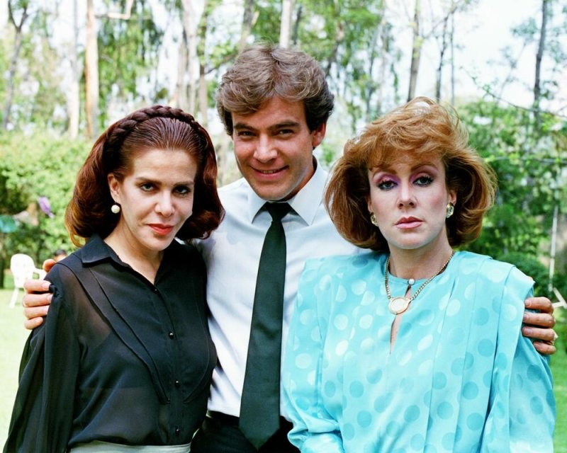 Гильермо Капетильо Дикая роза