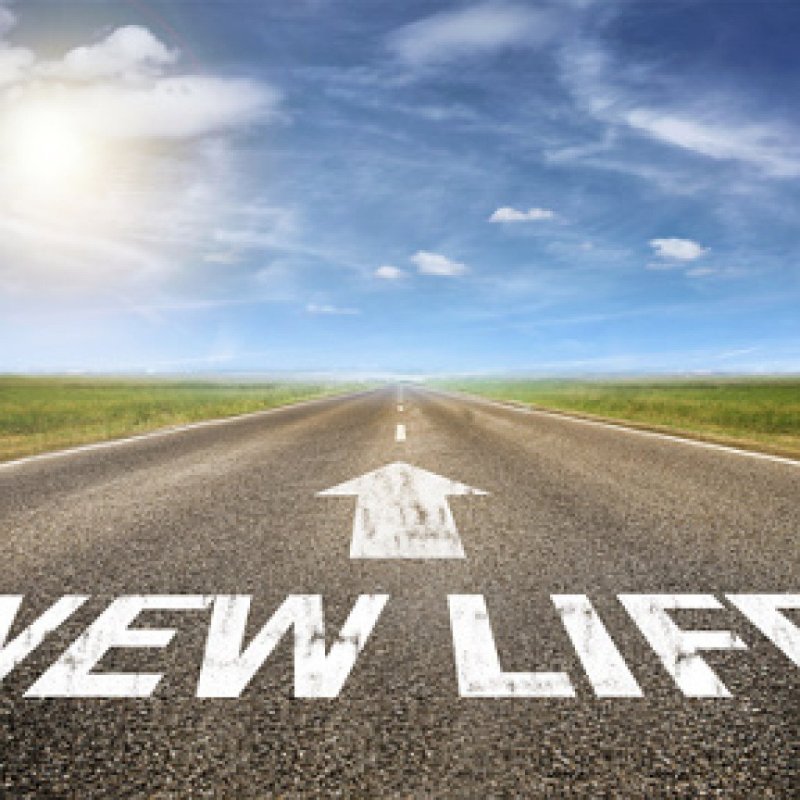 Новая жизнь