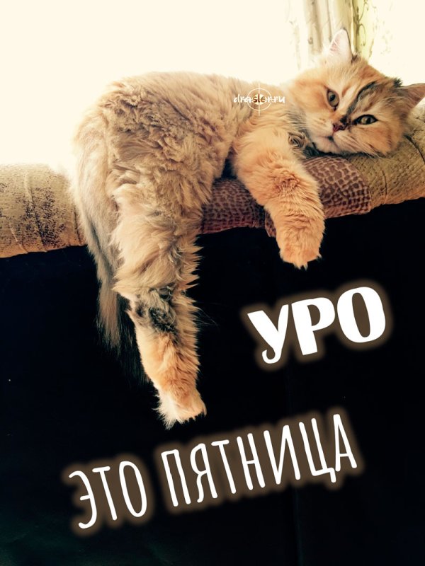 Доброе пятничное утро