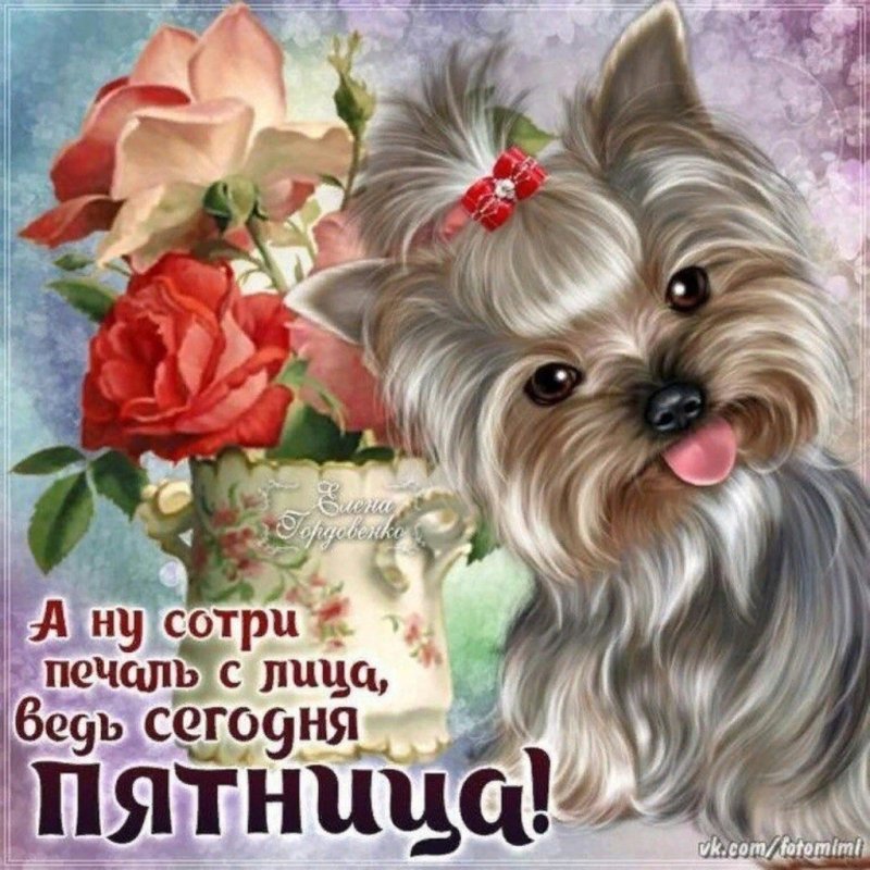 Пятница поздравления в картинках