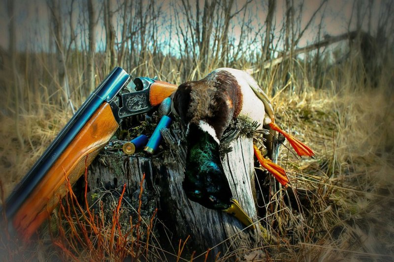 Заставка на рабочий стол охота