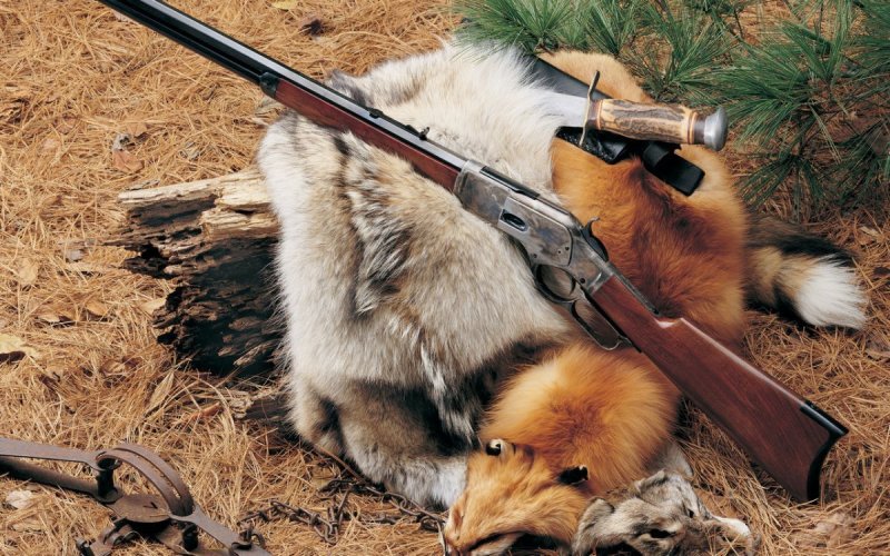 Охотничье ружье