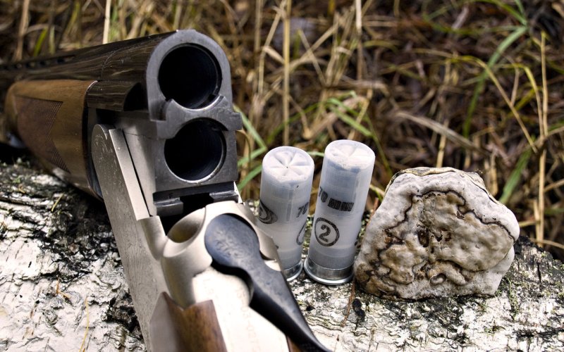 Ружья для охоты