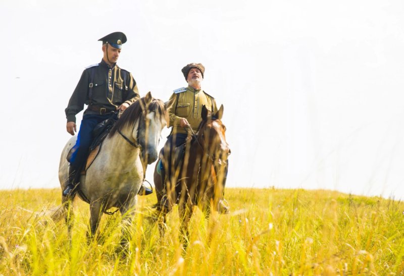 Донская степь казаки кони картина