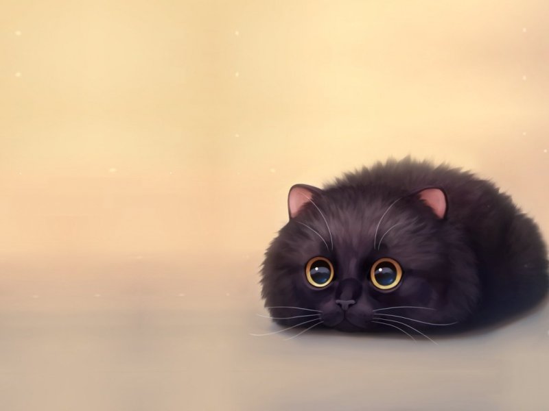 Котята на рабочий стол