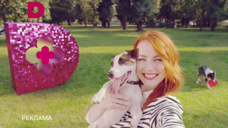 Телеканал домашний реклама заставки