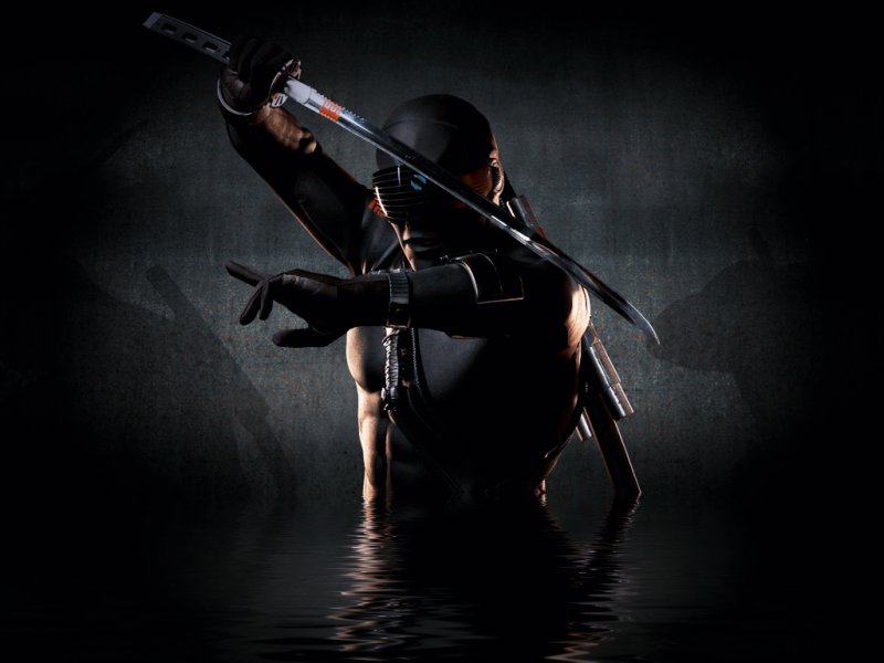 Ниндзя фото