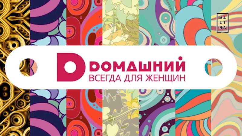 Домашний Телеканал логотип