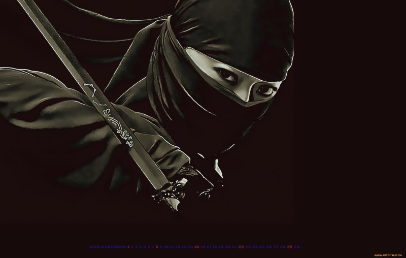 Маска ниндзя