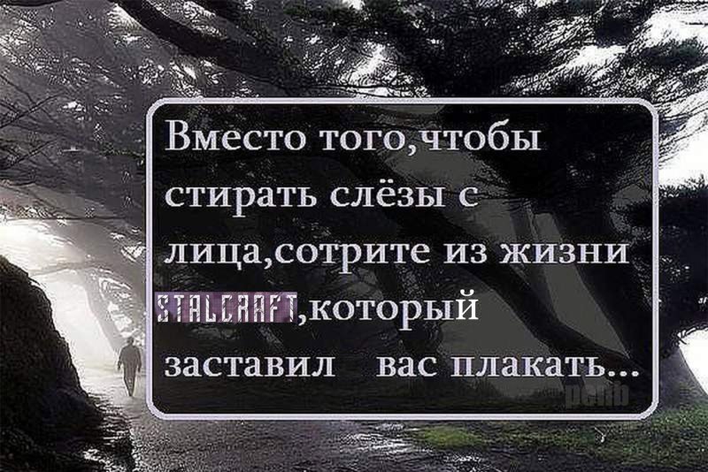 Красивые высказывания о жизни