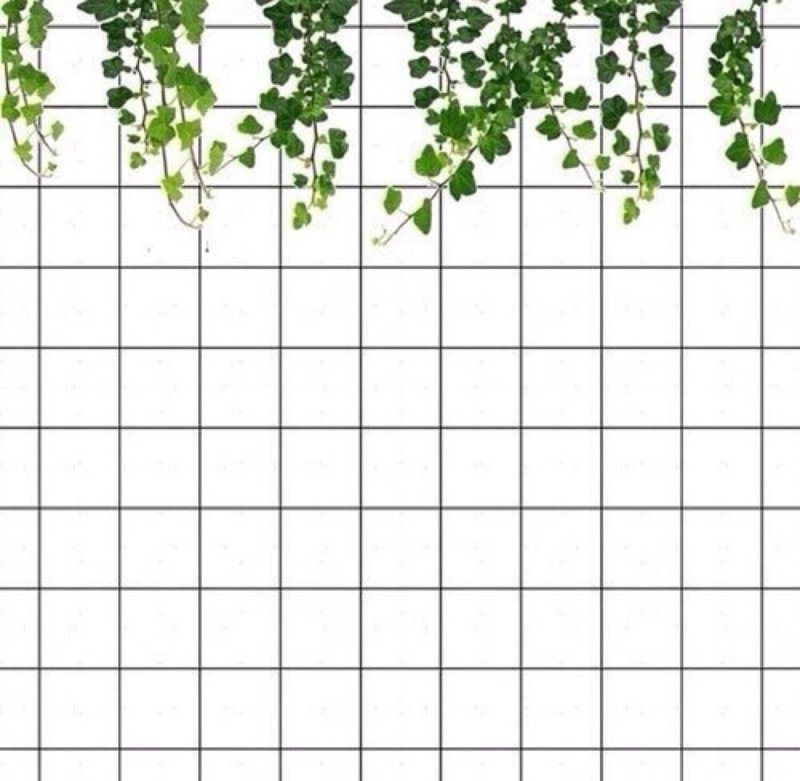 Лист в клетку фон