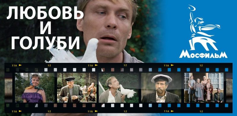 Любовь и голуби афиша