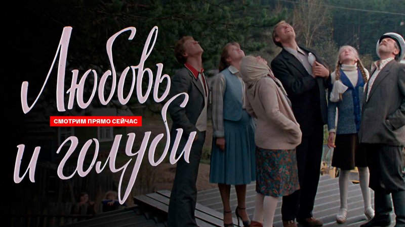 Любовь и голуби (1984)