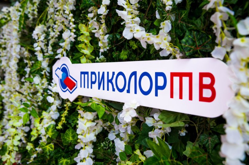 Триколор 2015