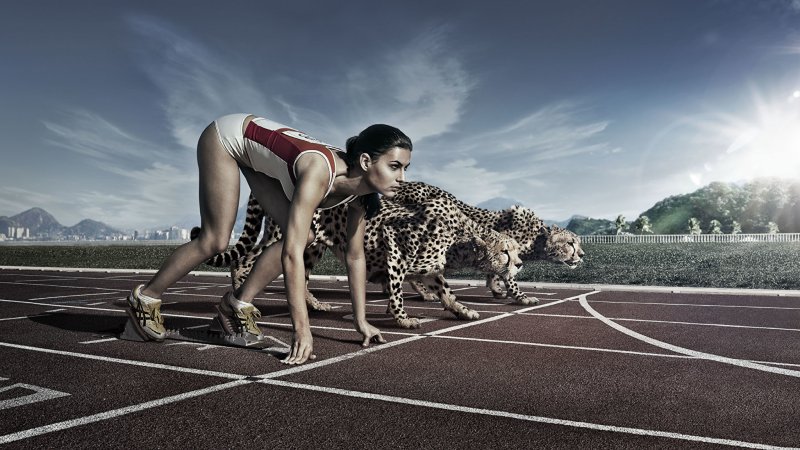 Спортивная тематика