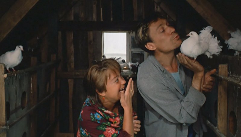 Любовь и голуби (1984)