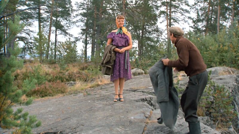 Любовь и голуби кадры