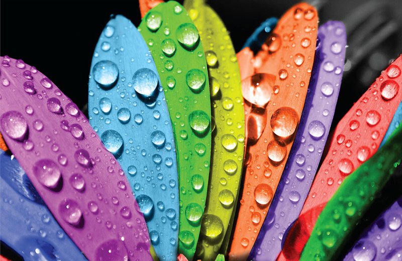 Красивые яркие цвета