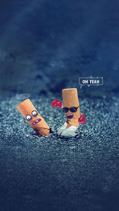 Смешные обои на телефон