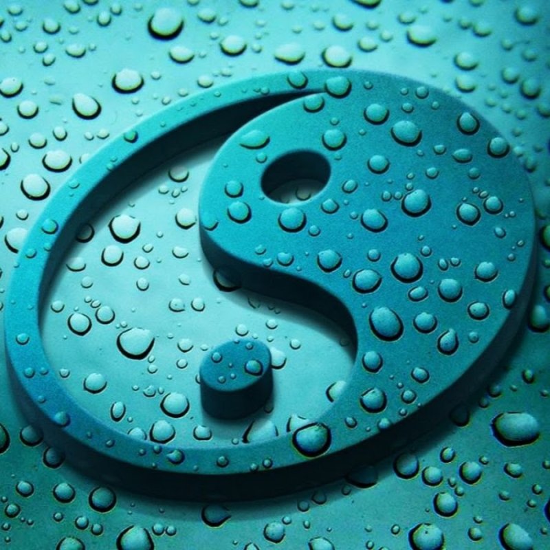 Картинки на заставку ватсап