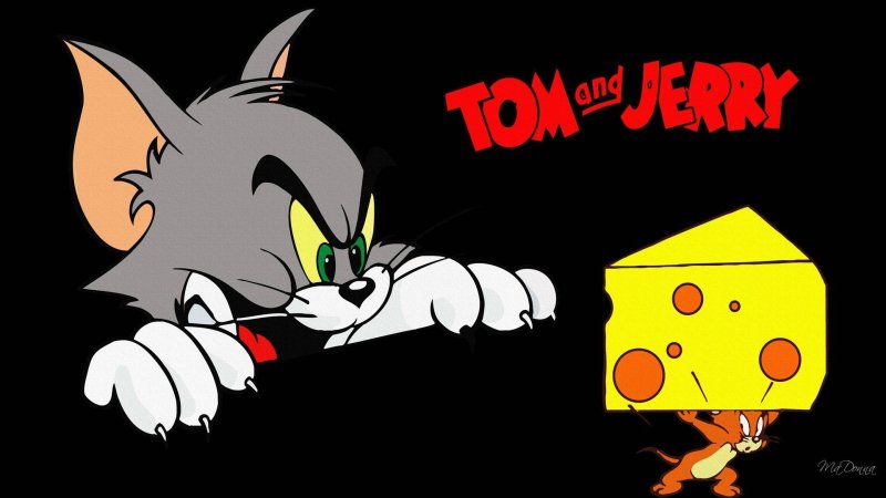 Tom and Jerry обои на телефон