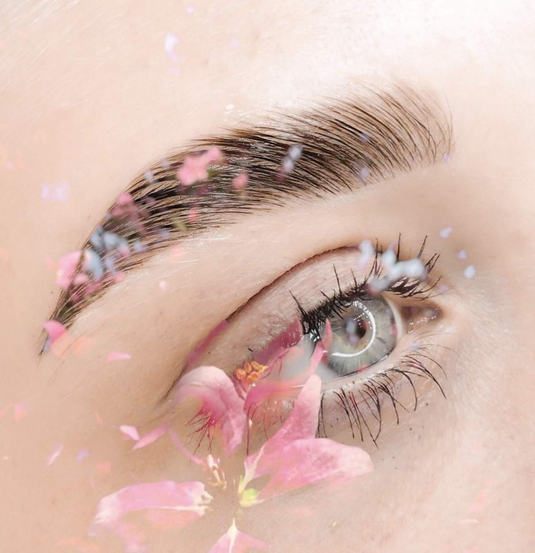 Брови и ресницы