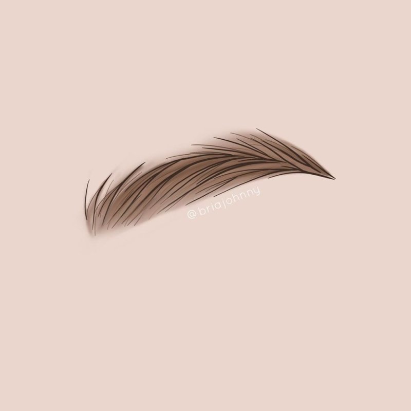 Брови на белом фоне