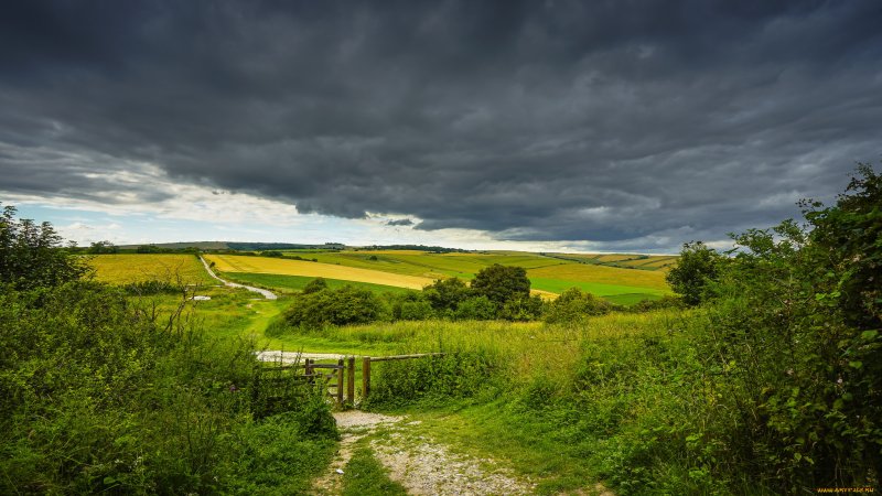 Русская природа