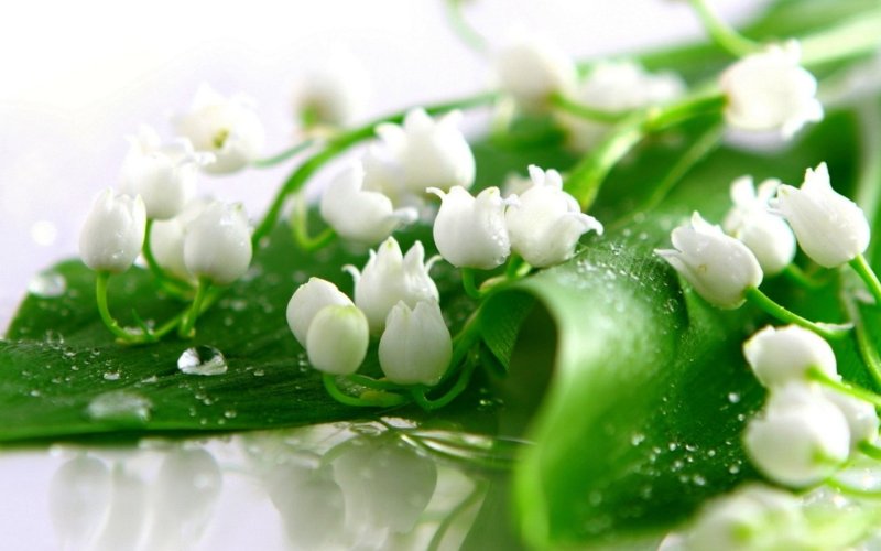 Весна Ландыши