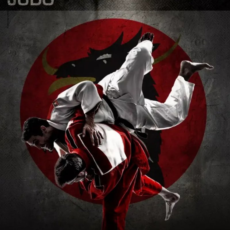 Дзюдо боевое искусство