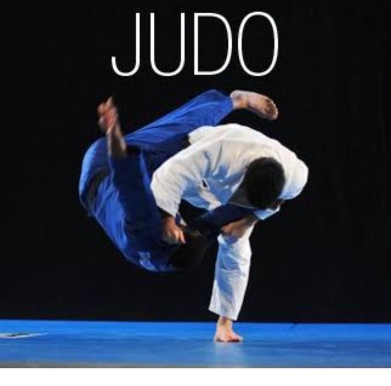 Дзюдо на аву